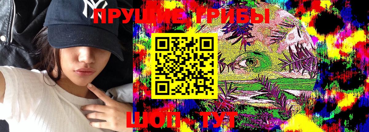 Майский  Галлюциногенные грибы Psilocybe  Вход с VPN 